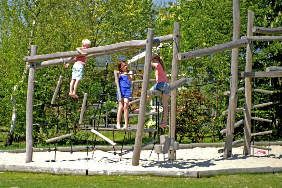 Kinderen in klimrek
