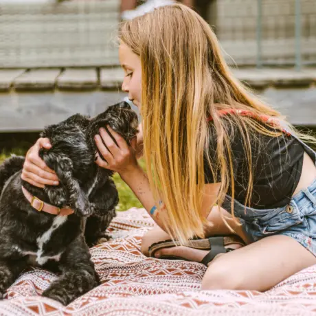 Hond