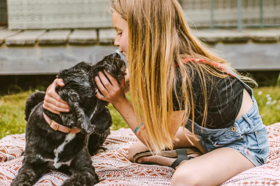 Hond