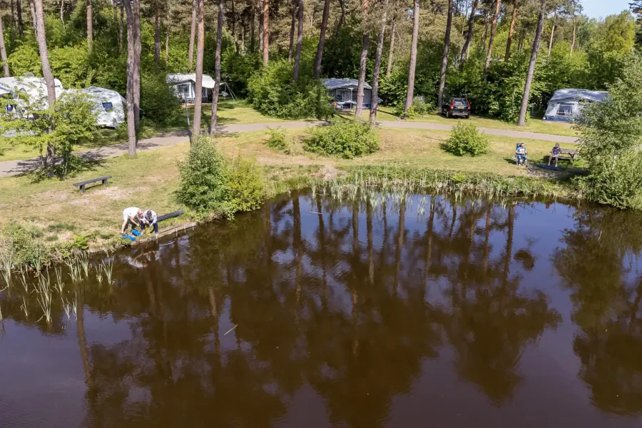 Visvijver bij Diana Heide