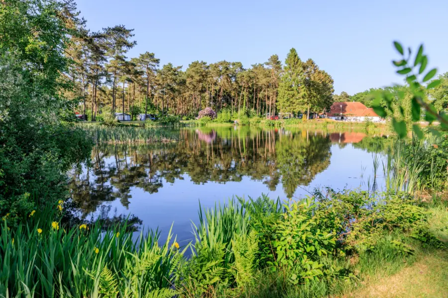 Diana Heide - Camping Drenthe - visvijver