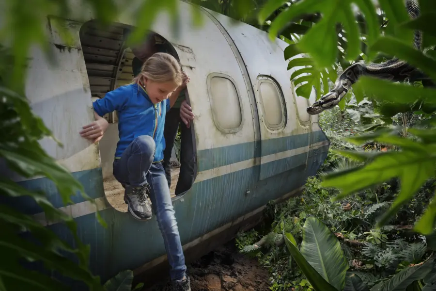 Wildlands Adventure Zoo - Kindercamping Drenthe