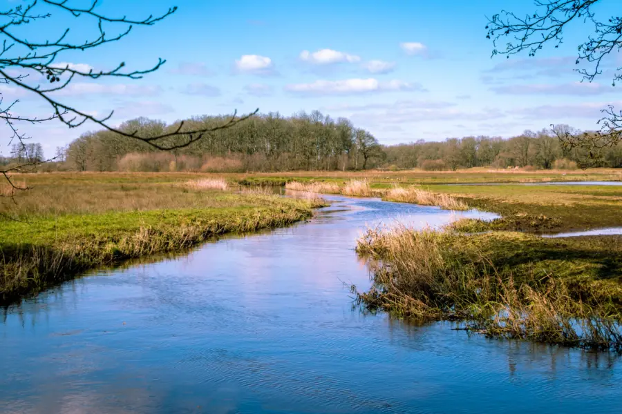 Camping vlak bij de Drentsche Aa - Nationaal Park Drentsche Aa