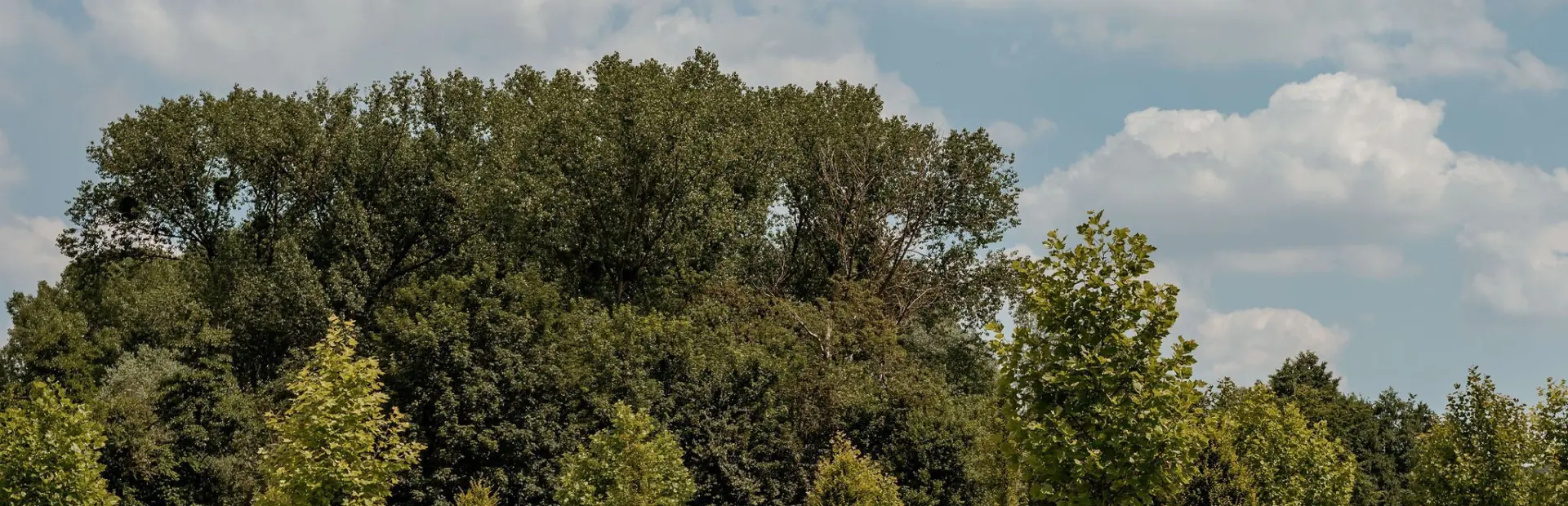 SanneCreuëlsPhotography-Camping&#039;tGeuldal-6