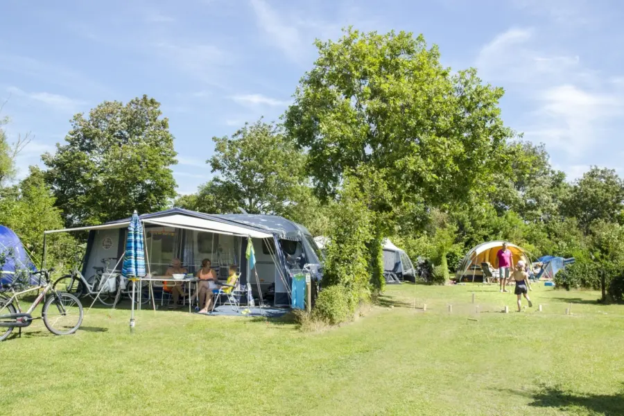 Ruime kampeerplaats Camping Ginsterveld
