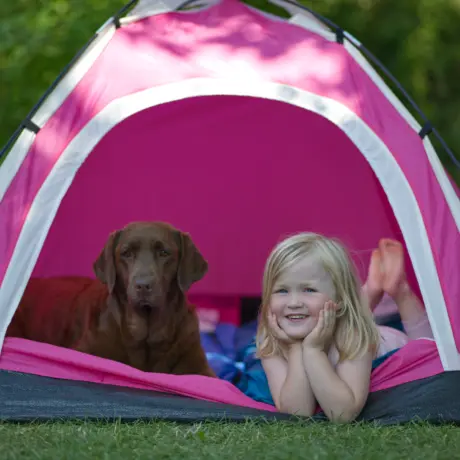 Camping limburg met hond kamperen