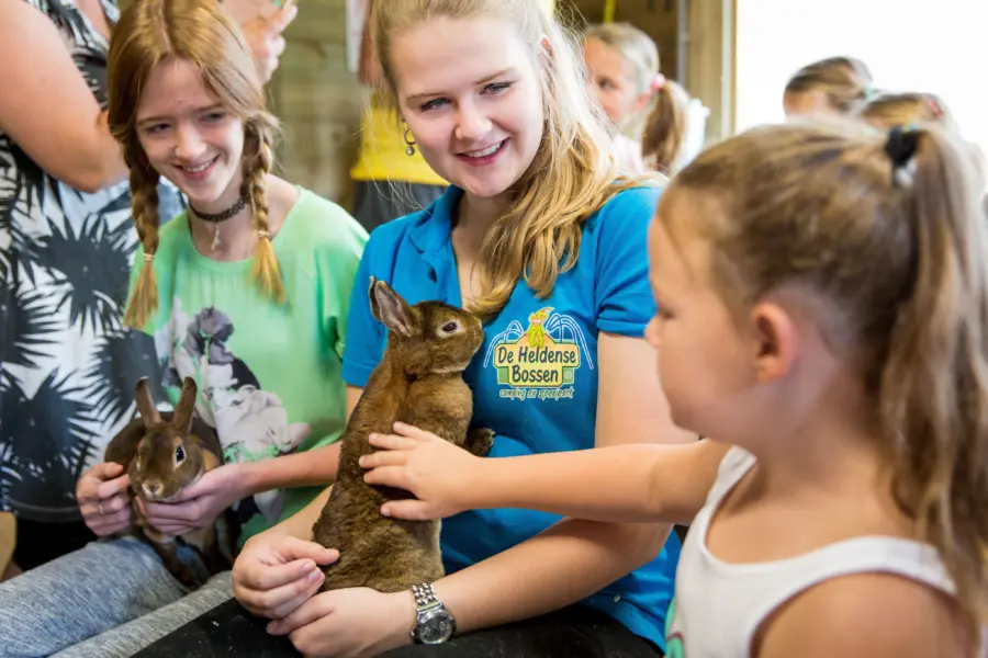 Heldense bossen limburgkinderboerderij 284 29