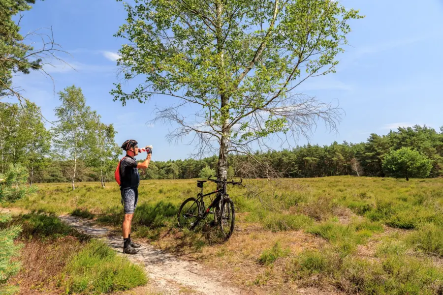Camping de Holterberg - camping in Overijssel - Mountainbiken bij Holterberg