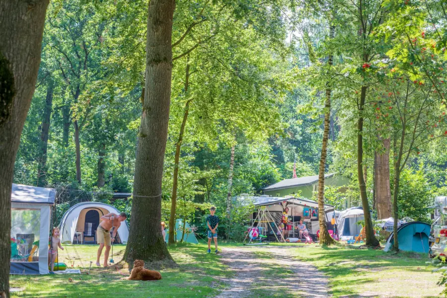 Comfortplaatsen Jutberg