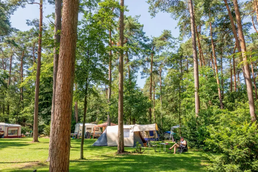 Natuurplaatsen Jutberg