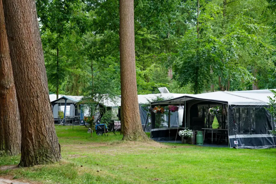 Comfortplaats 7 1