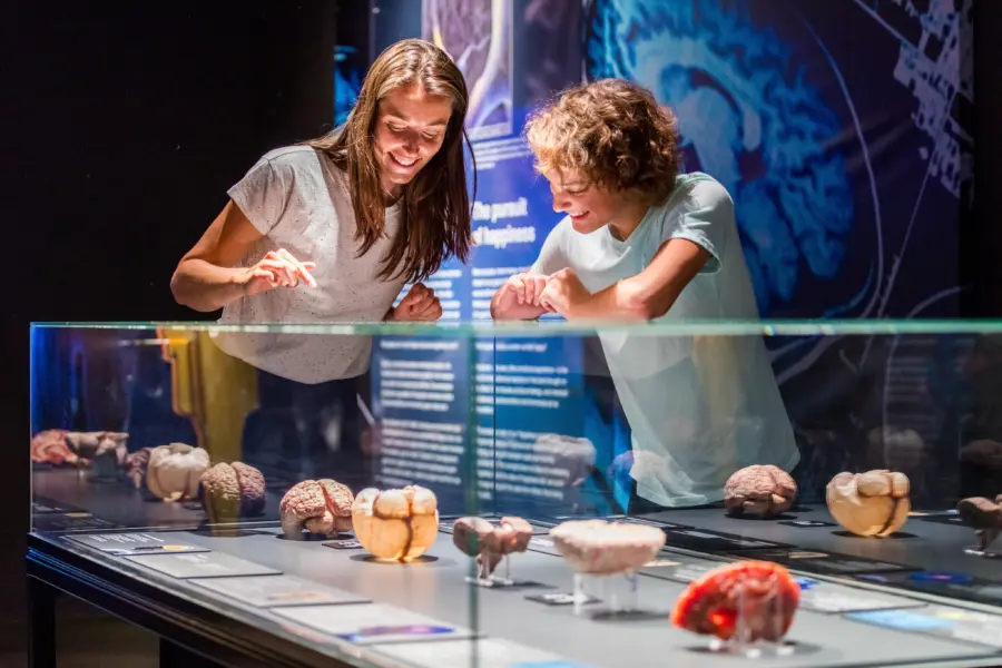 Body Worlds