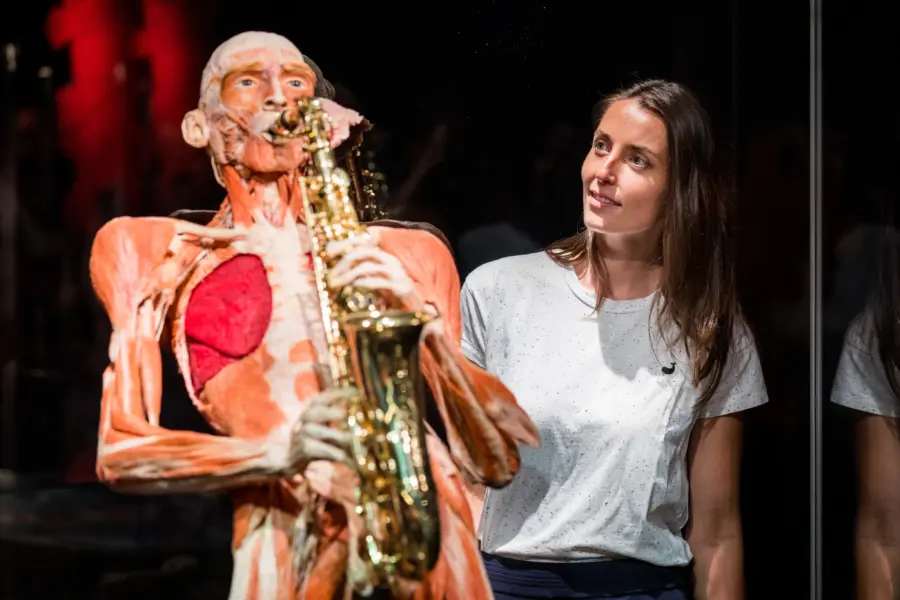 Body Worlds