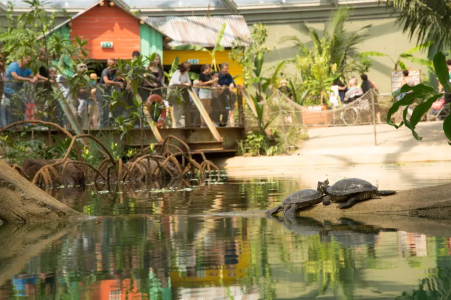 Burgers zoo 4