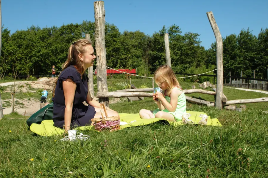 Picknicken