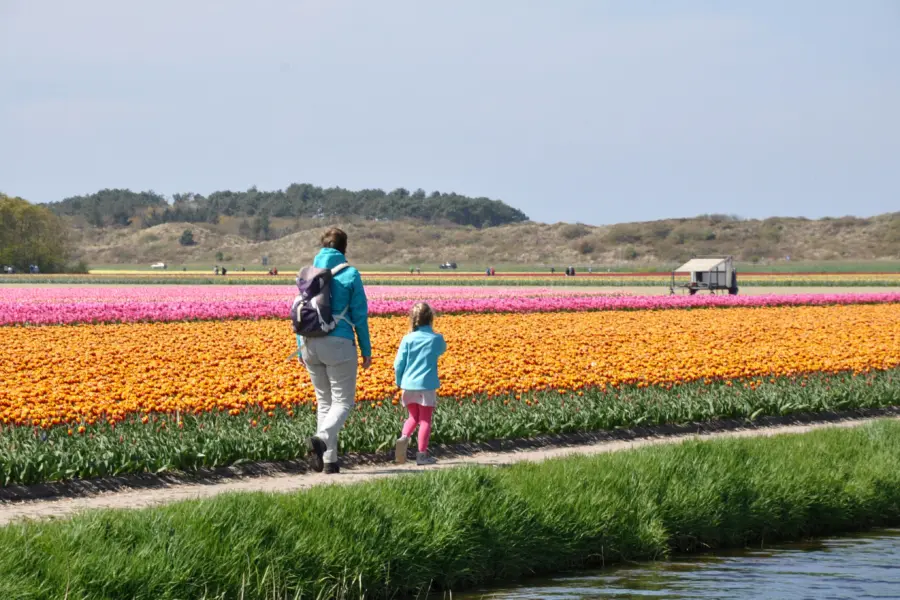 Noord-Holland - Bloeiende ZijpeMonique Alberts (169)