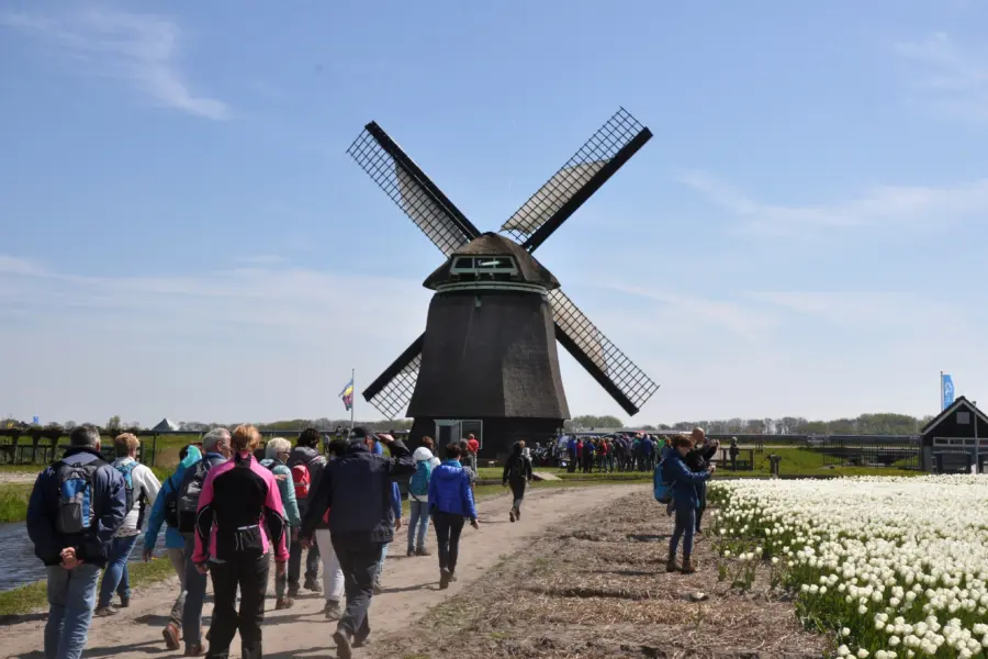 Noord-Holland - Bloeiende ZijpeMonique Alberts(148)